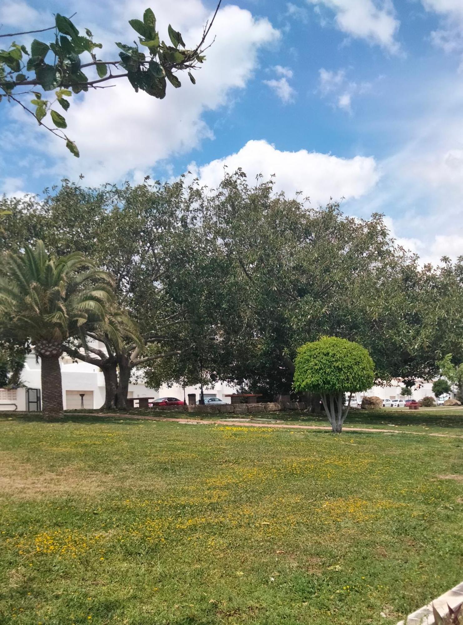 Apartamento Primera Linea De Playa Manilva Εξωτερικό φωτογραφία